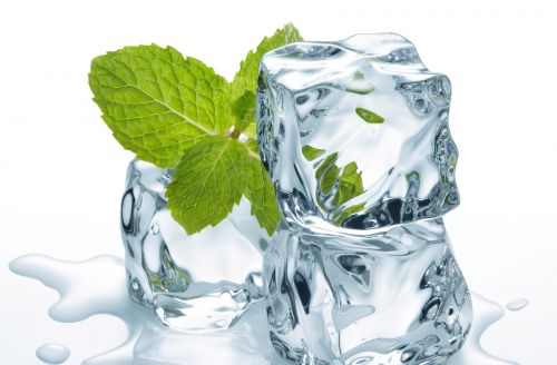 Prodej ledu Vysočina