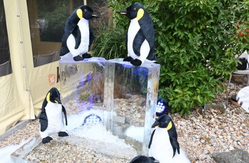 O nás - prodej ledu